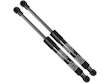 Hood Strut Set