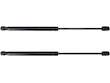 Hood Lift Support Kit