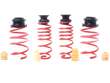 Coil Spring Lowering Kit / Shock Absorber Kit