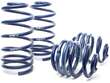 Coil Spring Lowering Kit / Shock Absorber Kit