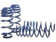 Coil Spring Lowering Kit / Shock Absorber Kit