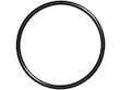 Fuel Pump Flange Gasket