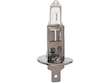Fog Light Bulb