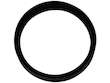 Fuel Pump Seal