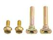 Caliper Bolt