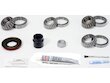SKF Axle Differential Bearing and Seal Kit