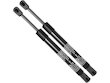 Set of 2 for Ford Explorer 1991-2001 Hood Bonnet Lift Supports Shock Struts 4026
