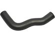 Genesis Radiator Hose