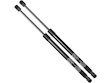 Hood Struts/Shocks Replacement - Car Hood Lift Support | Parts Geek