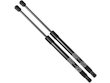 Hood Struts/Shocks Replacement - Car Hood Lift Support | Parts Geek