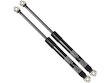Hood Struts/Shocks Replacement - Car Hood Lift Support | Parts Geek
