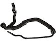 A3 Quattro Radiator Hose