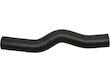 Genesis Coupe Radiator Hose
