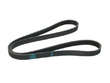 Multi Rib Belt