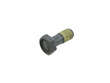 Flywheel Bolt