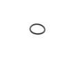 Oil Filter Adapter O-Ring