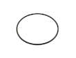 Fuel Pump Tank Seal