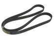 Multi Rib Belt