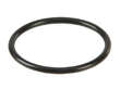 Automatic Transmission Filter Gasket