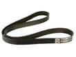 Multi Rib Belt