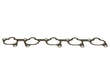 Intake Manifold Gasket