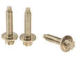 Water Pump Bolt Set