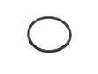 Fuel Pump Tank Seal