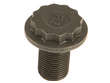 Flywheel Bolt
