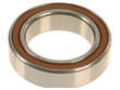 Axle Shaft Bearing