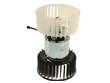 Blower Motor