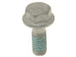 Brake Caliper Carrier Bolt