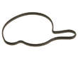 Water Pump Gasket