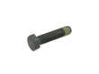 Flywheel Bolt