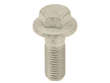Brake Caliper Carrier Bolt