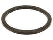 Fuel Pump Tank Seal