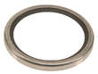 Thermostat Housing Gasket