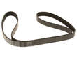 Multi Rib Belt