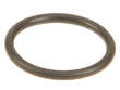 Oil Pan Gasket