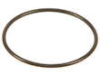 Power Steering Reservoir Gasket