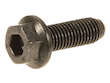 Water Pump Bolt Kit
