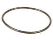 Fuel Pump Tank Seal