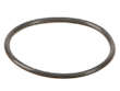 Fuel Pump O-Ring