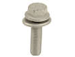 Brake Caliper Carrier Bolt