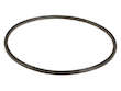 Fuel Pump Tank Seal