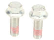 Brake Caliper Bolt