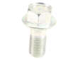 Brake Caliper Carrier Bolt