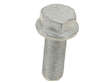 Brake Caliper Carrier Bolt