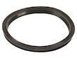 Fuel Pump Tank Seal