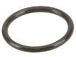 VVT Oil Control Valve Gasket