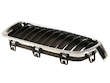 Grille Insert